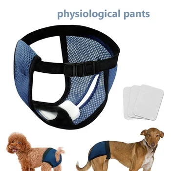 Физиологические штаны для собак, подгузник, гигиенические моющиеся трусики для собак, нижнее белье для девочек